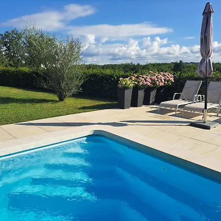 Sotlar With Pool