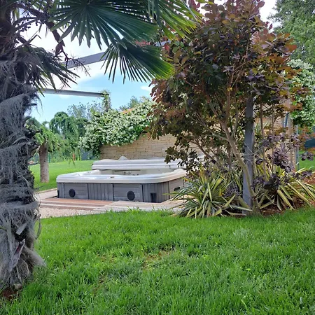Sotlar With Pool