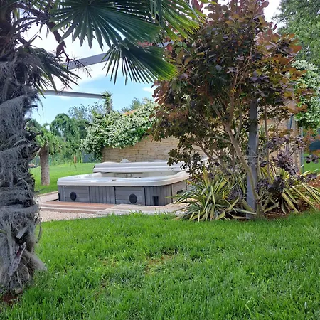 Sotlar With Pool